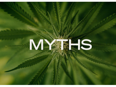 Top 7 myths about marijuana