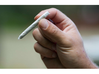 Joint, blunt, split - what is it?